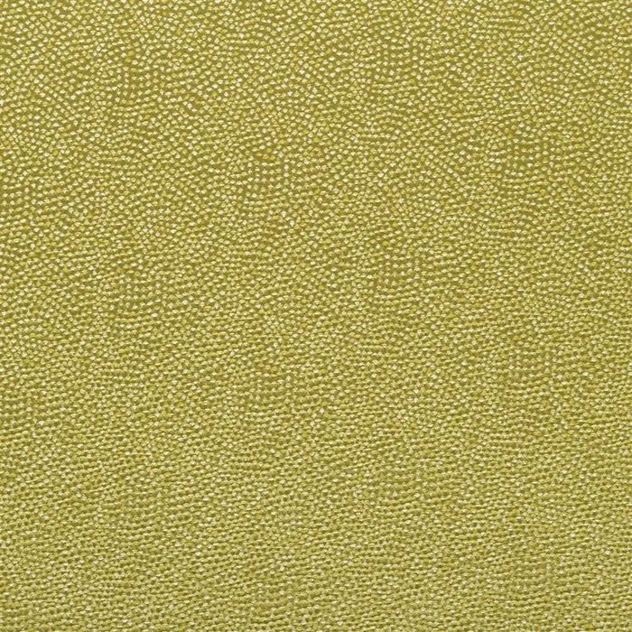 Designers Guild Sesia 11 Fabric FDG2747-11