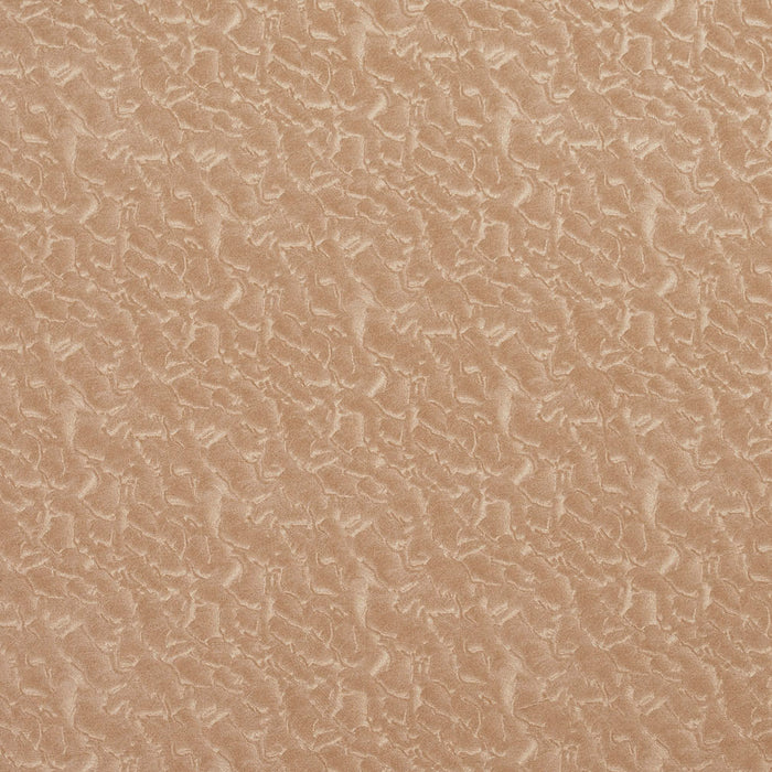 Charlotte Oat Fabric Sample 8059