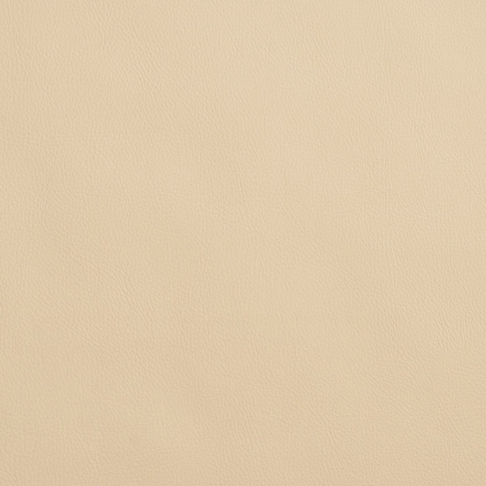 Charlotte Ivory Fabric Sample 8065