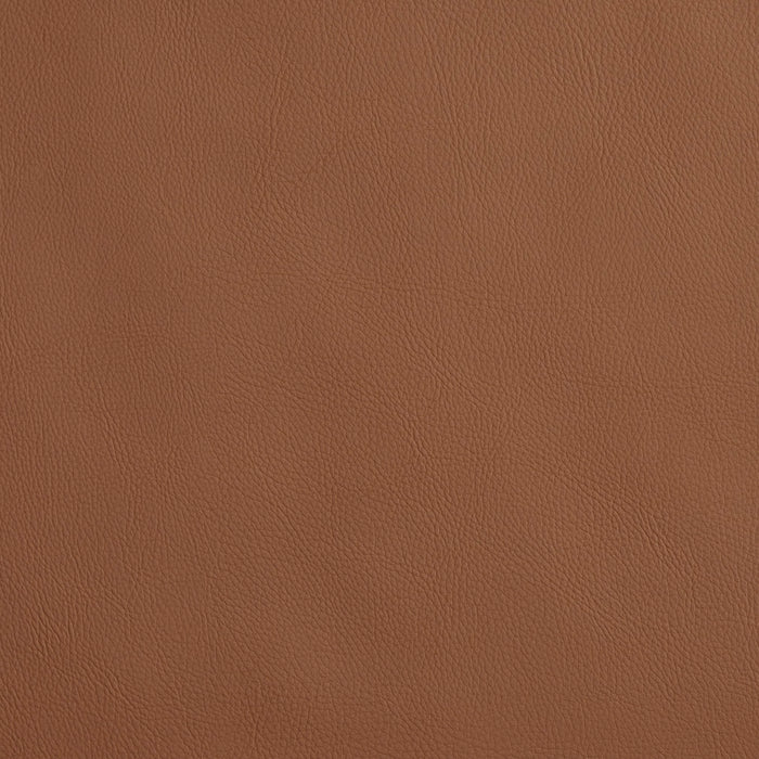 Charlotte Driftwood Fabric Sample 8066