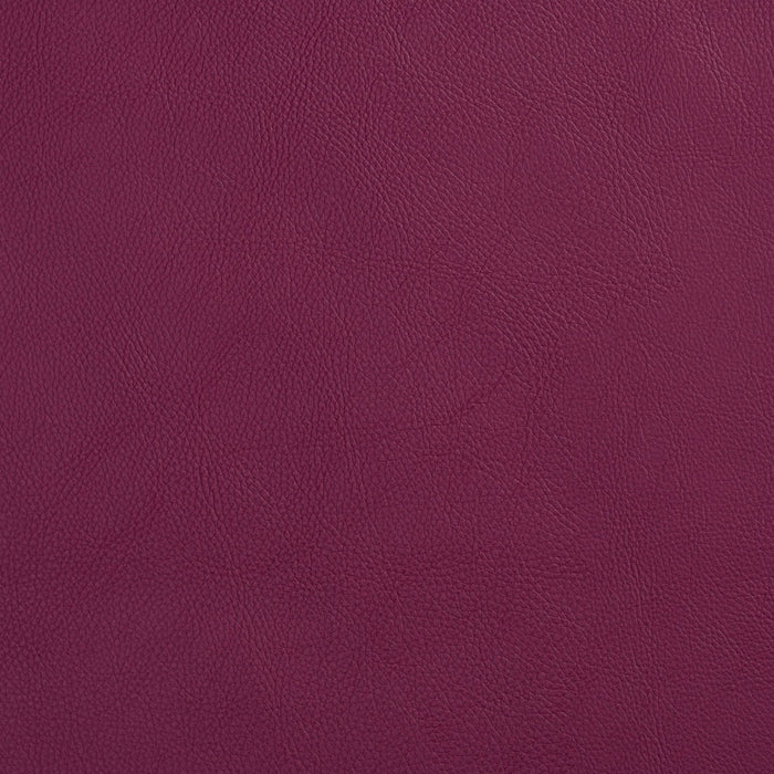 Charlotte Plum Fabric Sample 8067