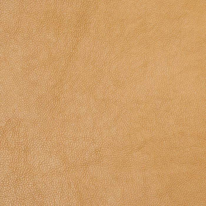 Charlotte Gold Fabric Sample 8069