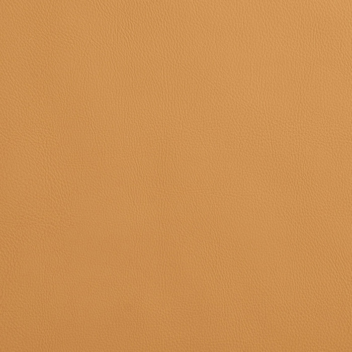 Charlotte Camel Fabric Sample 8072