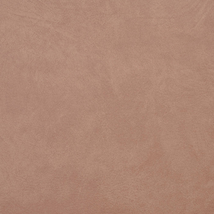 Charlotte Taupe Fabric Sample 8098
