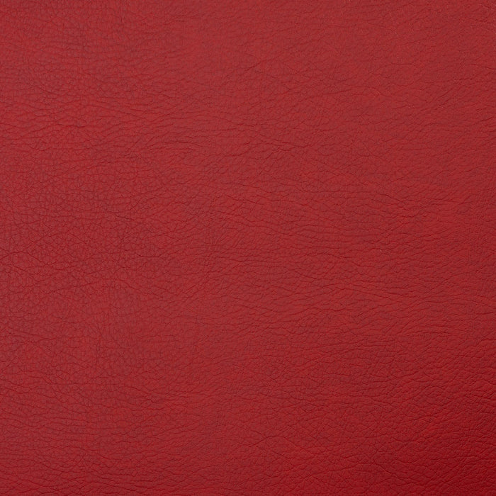 Charlotte Scarlet Fabric Sample 8099