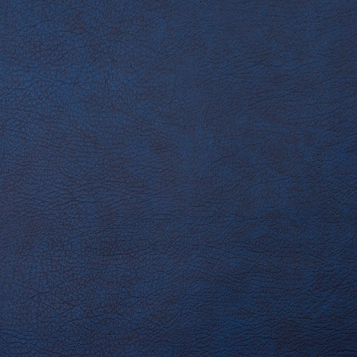 Charlotte Navy Fabric Sample 8101