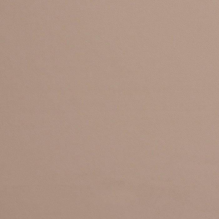 Charlotte Taupe Fabric Sample 8210