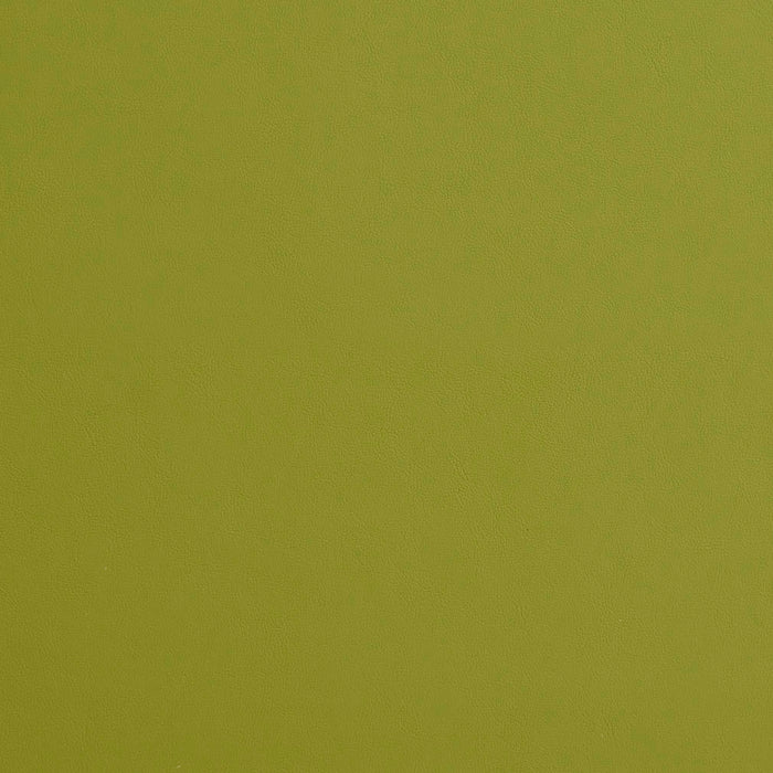 Charlotte Apple Fabric Sample 8211