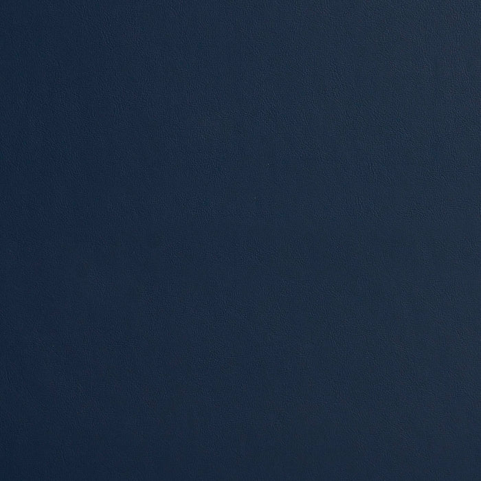 Charlotte Navy Fabric Sample 8213