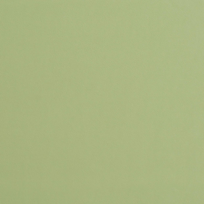 Charlotte Mint Fabric Sample 8226