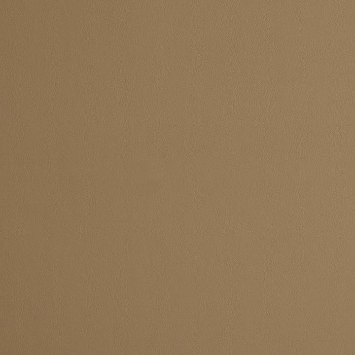 Charlotte Sandstone Fabric Sample 8227