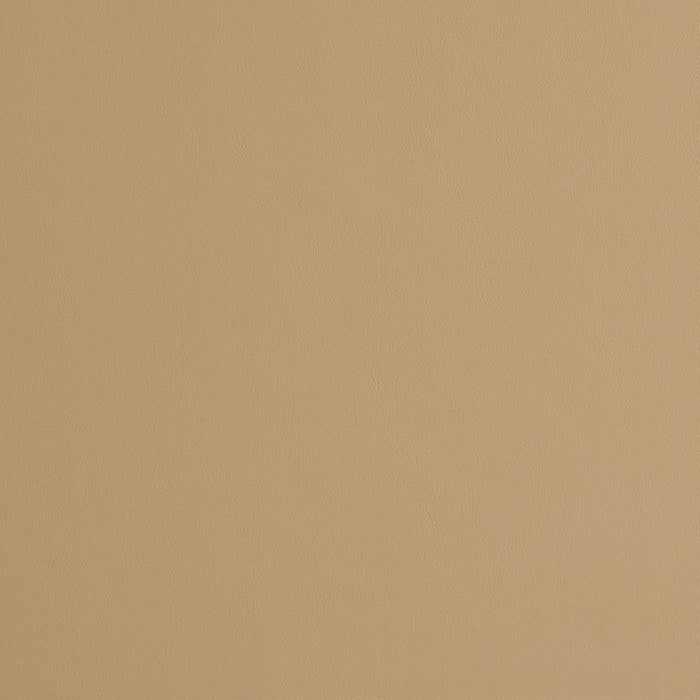 Charlotte Sand Fabric Sample 8231
