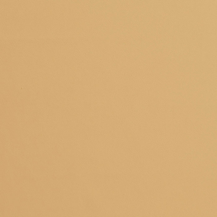 Charlotte Wheat Fabric Sample 8235
