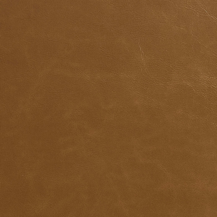Charlotte Latte Fabric Sample 8246