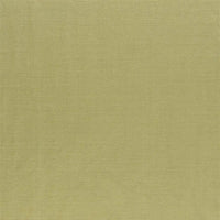 Designers Guild Arietta 13 Fabric F1868-13