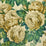 John Derian The Rose 1 Wallpaper PJD6002-01
