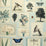 John Derian Flora And Fauna 2 Wallpaper PJD6001-02