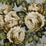 John Derian The Rose 6 Wallpaper PJD6002-06