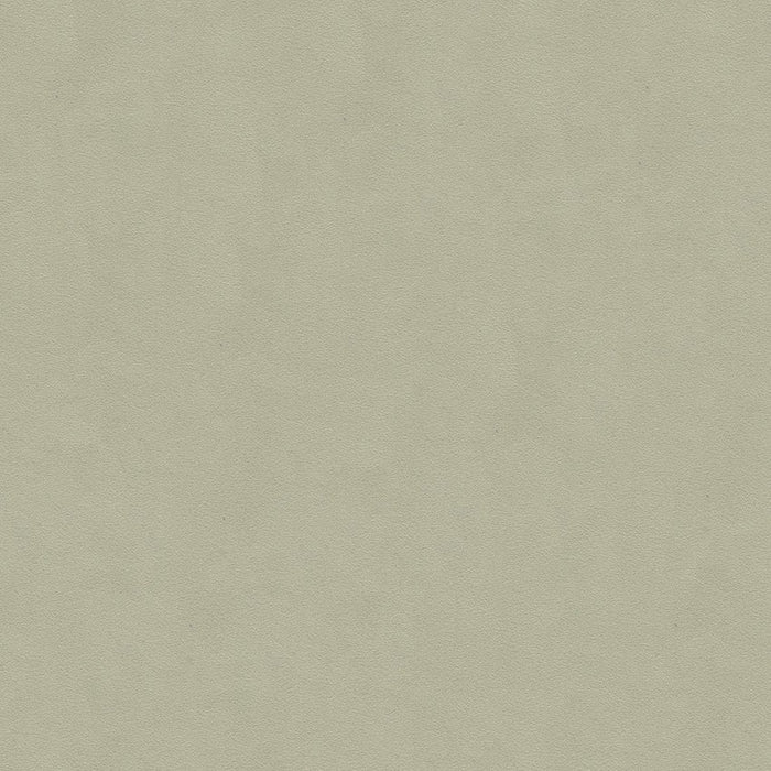 Lee Jofa Ultimate Ash Grey Fabric 960122.2101.0