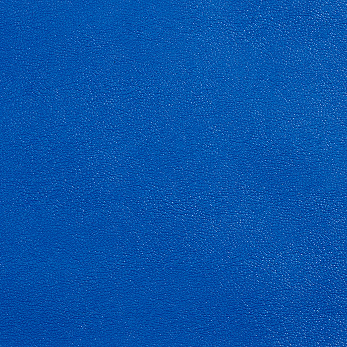 Charlotte Royal Fabric Sample Allsport-Royal