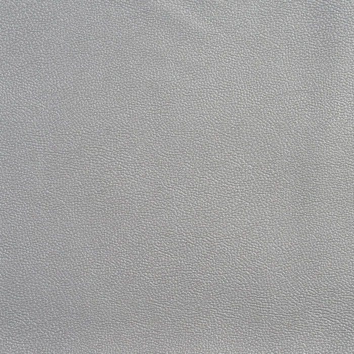 Charlotte Silver Fabric Sample Allsport-SilVer