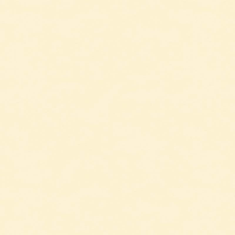 Brunschwig & Fils Ninon Taffetas Blanc Fabric BR-81081.A.0