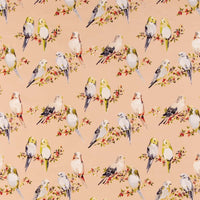 Charlotte  Fabric CB600-205