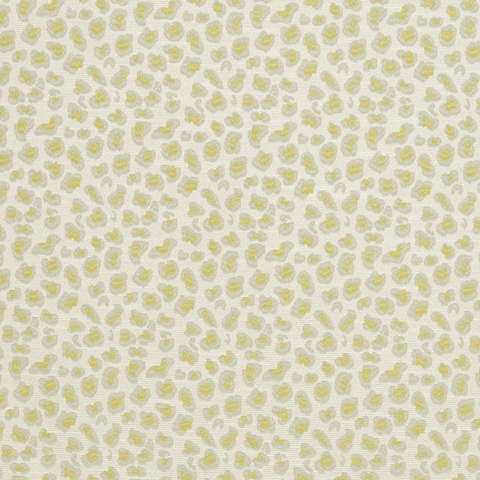 Charlotte  Fabric Sample CB700-310