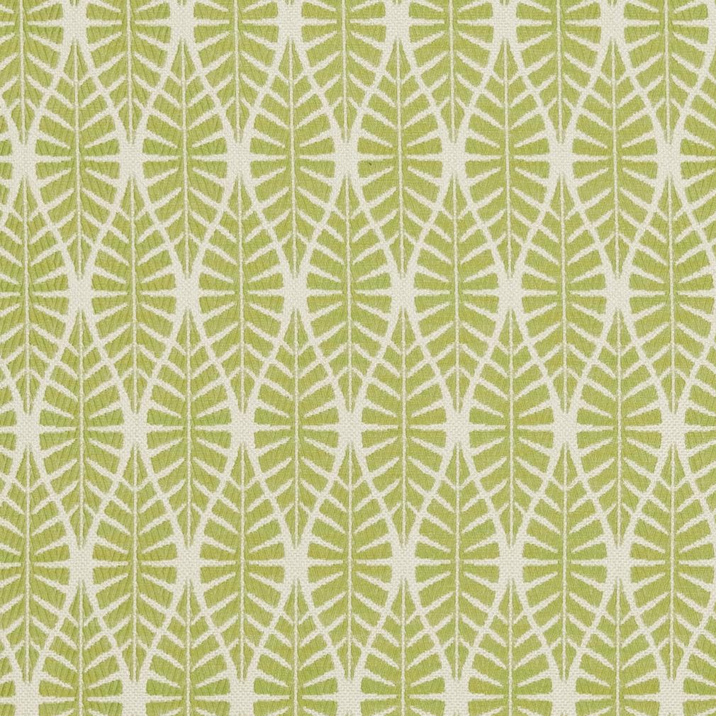 Charlotte  Fabric Sample CB700-334