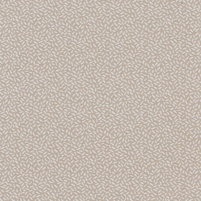 Charlotte  Fabric Sample CB700-346