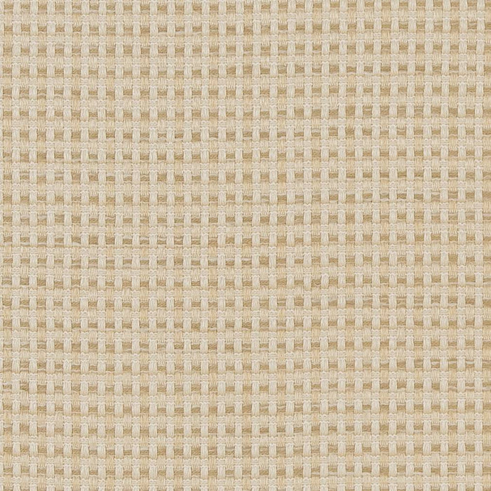 Charlotte  Fabric Sample CB700-374