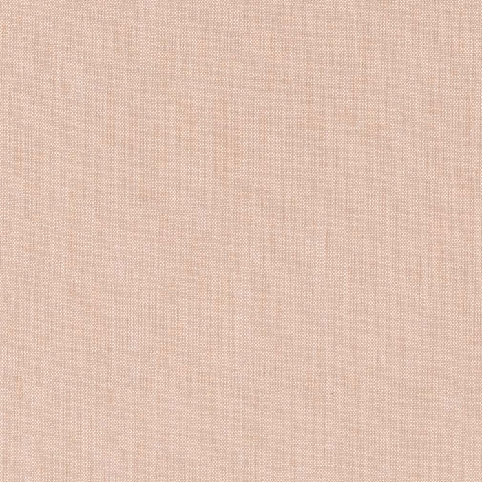 Charlotte  Fabric Sample CB700-459