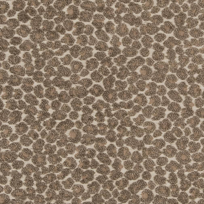 Charlotte  Fabric Sample CB900-34