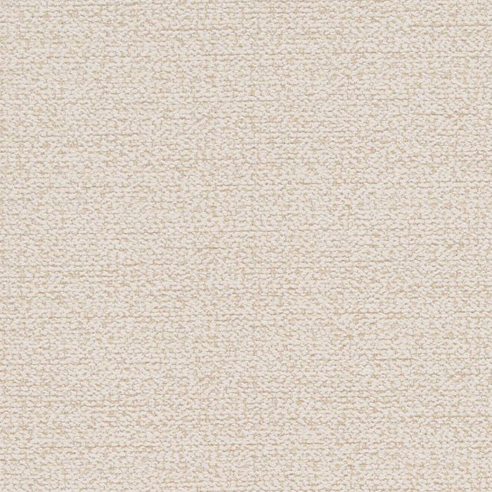 Charlotte Eggshell Fabric Sample D1181