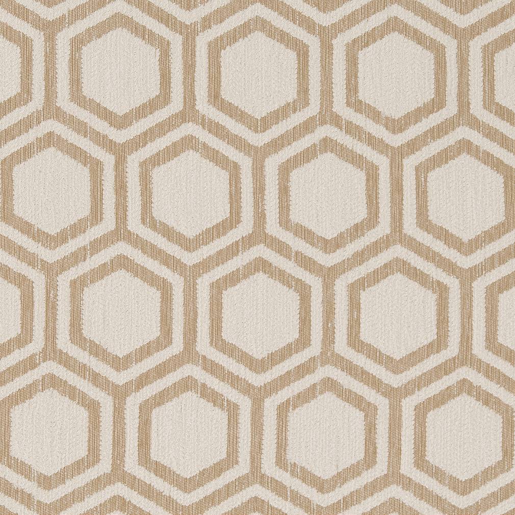 Charlotte Sand Dollar Fabric D1635