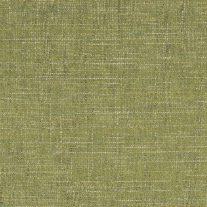 Charlotte Grass Fabric Sample D1739