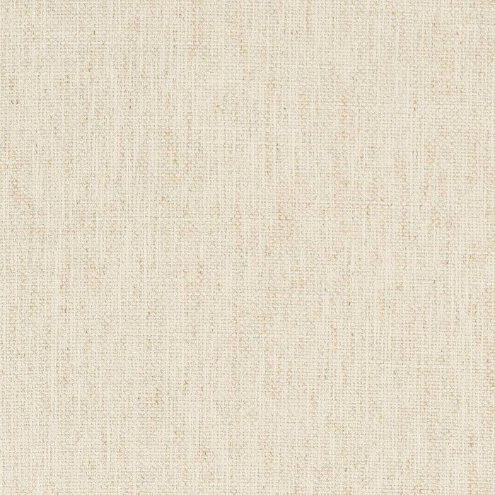 Charlotte Champagne Fabric Sample D1753