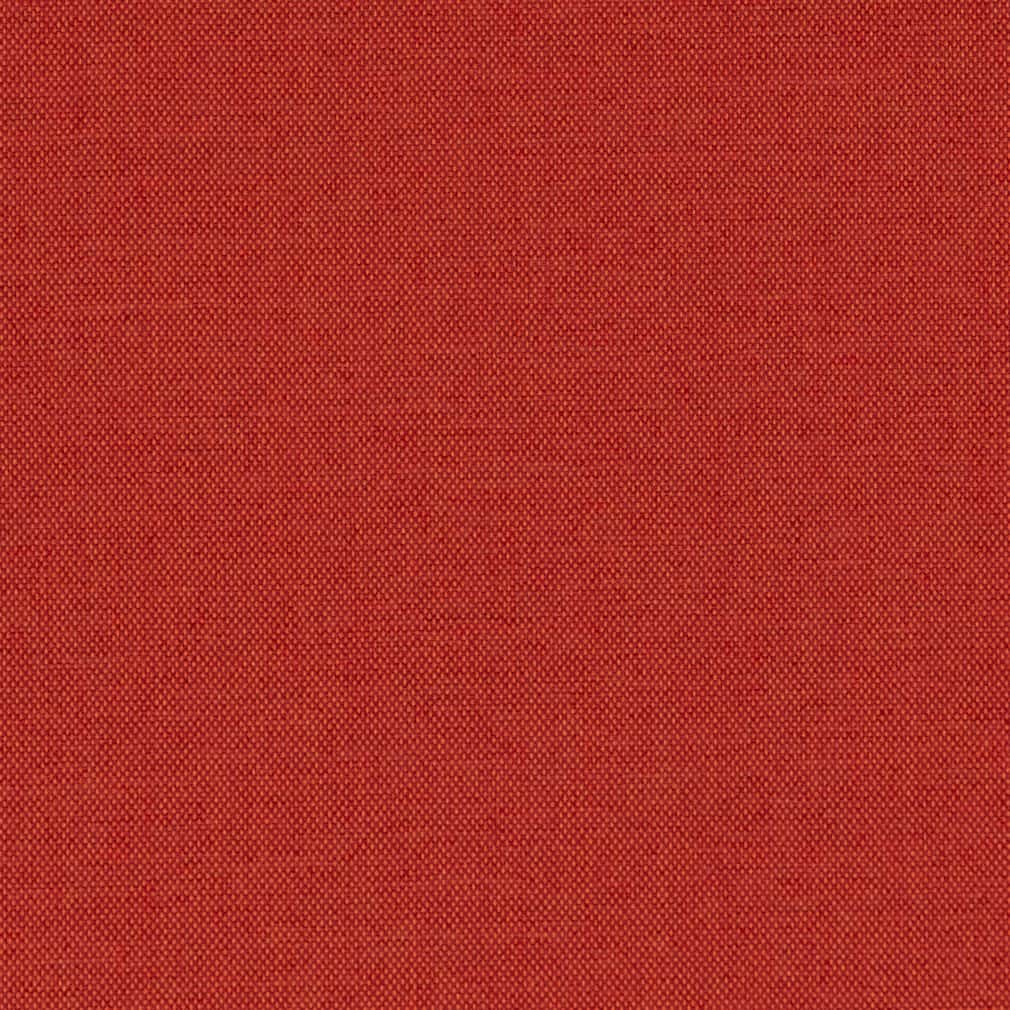 Salsa Samples Charlotte D2523 Salsa Sample | 40% Off (Samples)