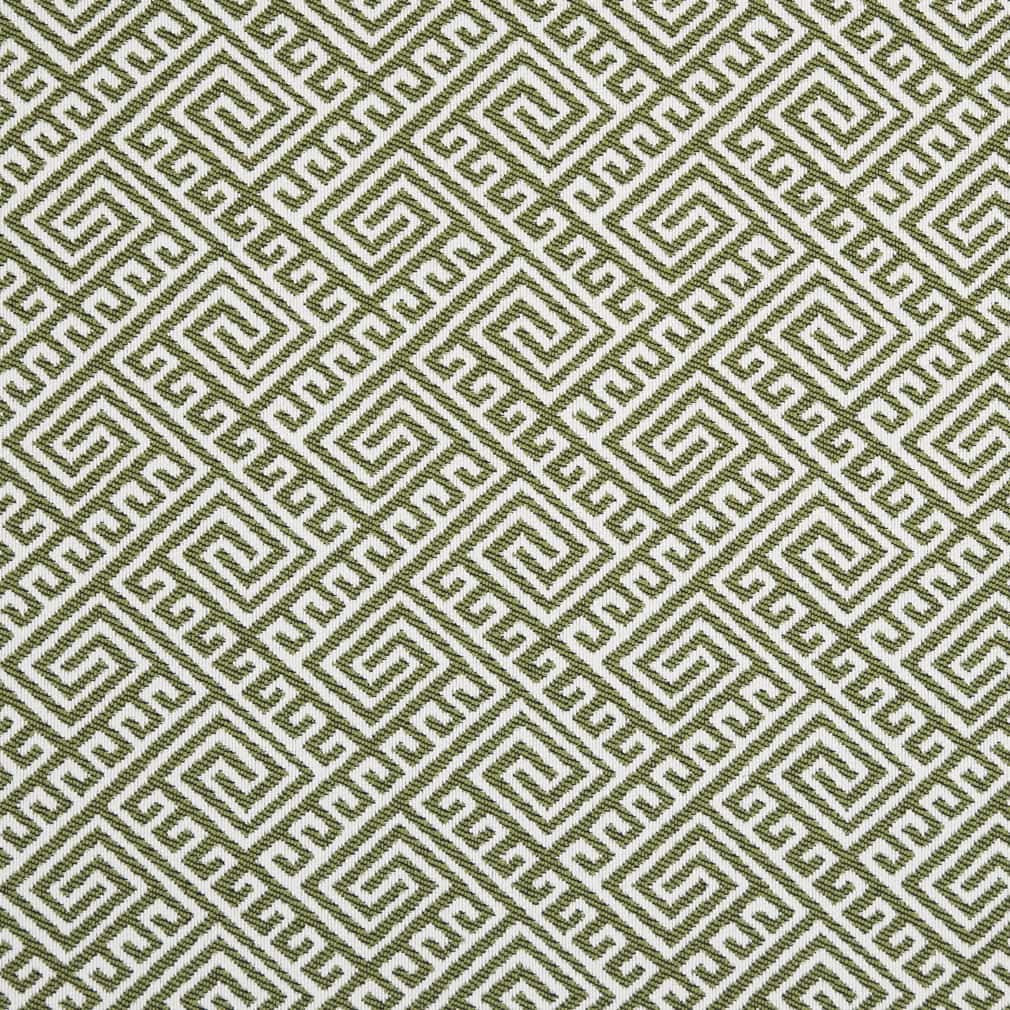 Charlotte Lime Fabric Sample D2553