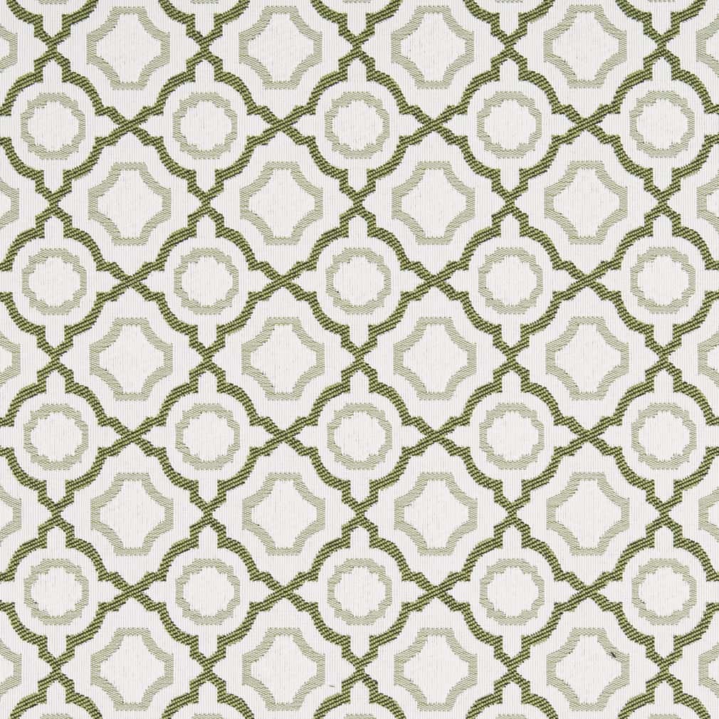 Charlotte Avocado Fabric Sample D2559