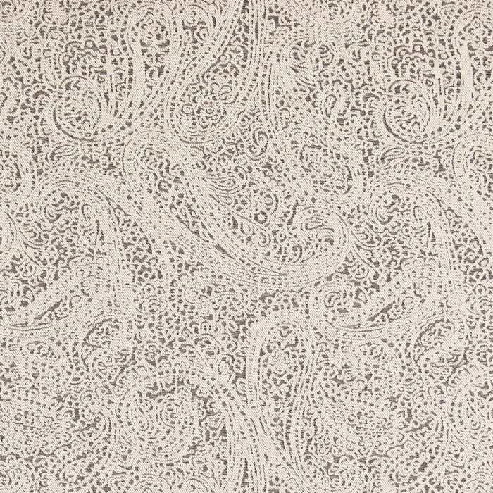 Charlotte Paisley Coal Fabric Sample D2592