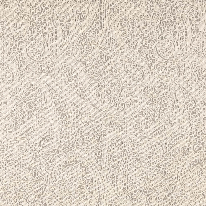 Charlotte Paisley Pewter Fabric Sample D2596