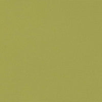 Charlotte Kiwi Fabric D2804