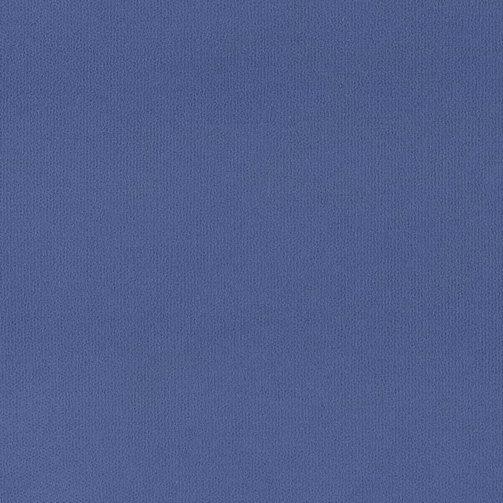 Charlotte Blueberry Fabric Sample D2814