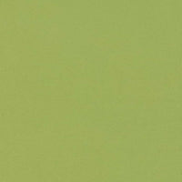 Charlotte Lime Fabric D2819
