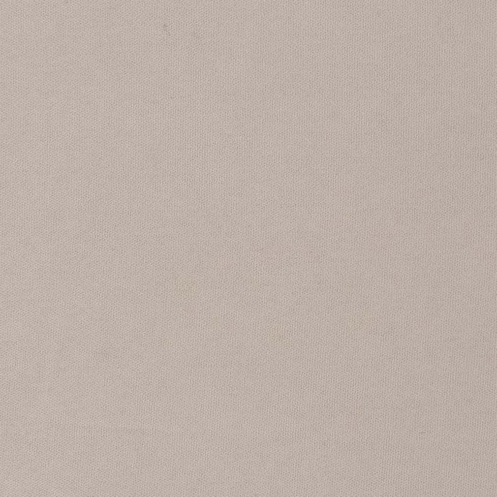 Charlotte Stone Fabric Sample D2824