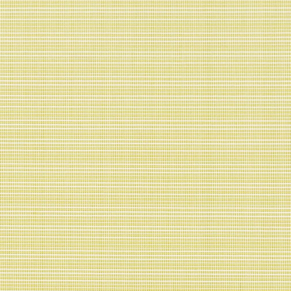 Charlotte Citrus Fabric Sample D2838