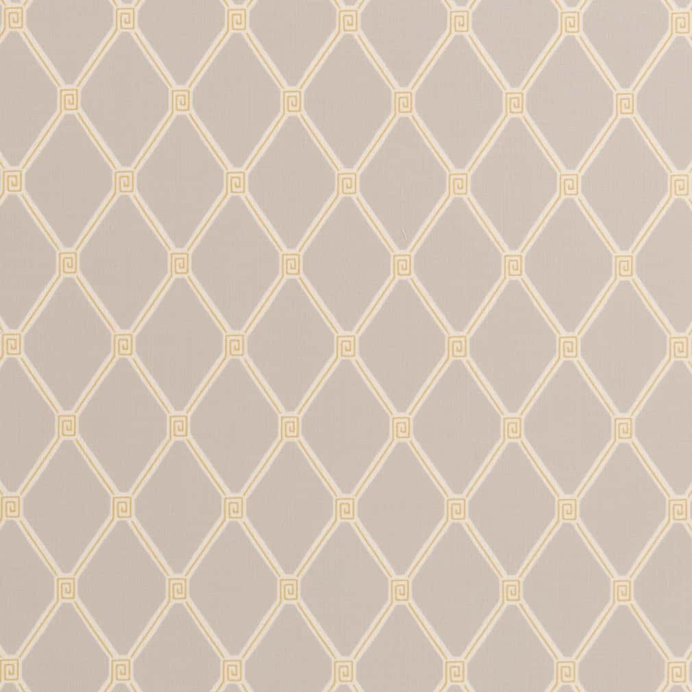 Charlotte Lemon Fabric Sample D2937