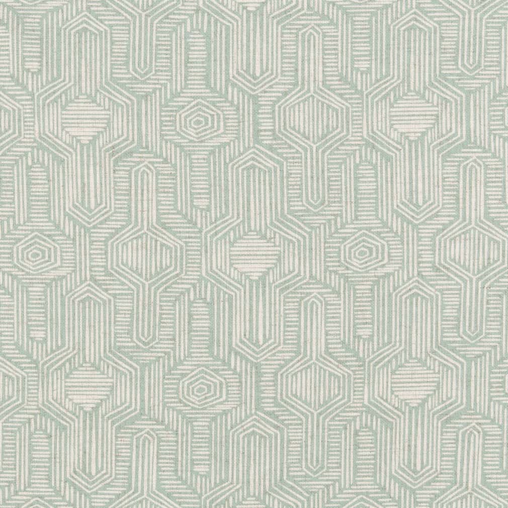 Charlotte Water Fabric D2938