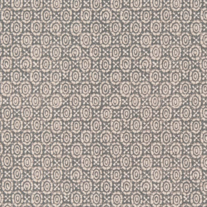 Charlotte Fossil Fabric Sample D2943